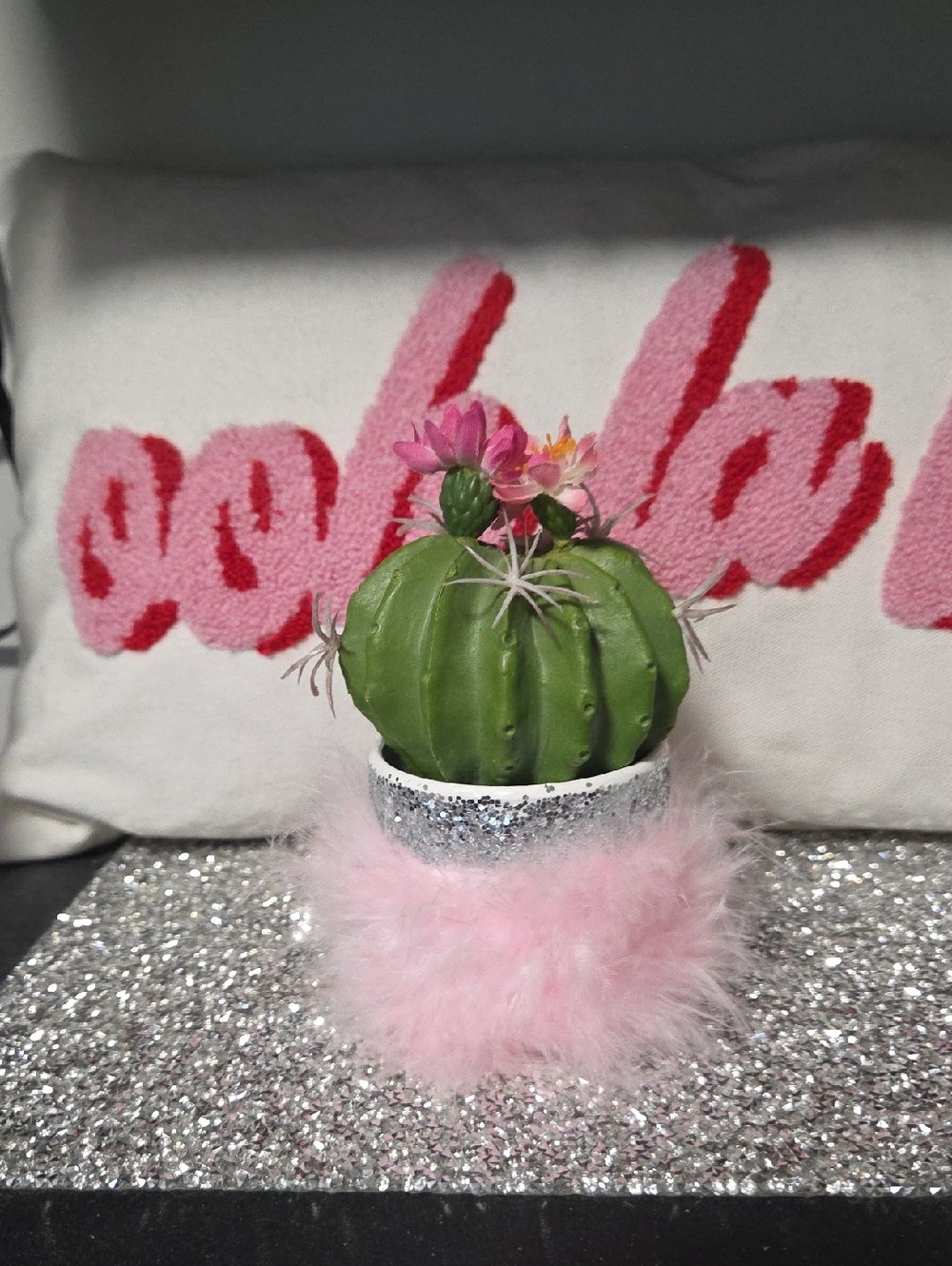 Pink Fur Succulent Flower Pot